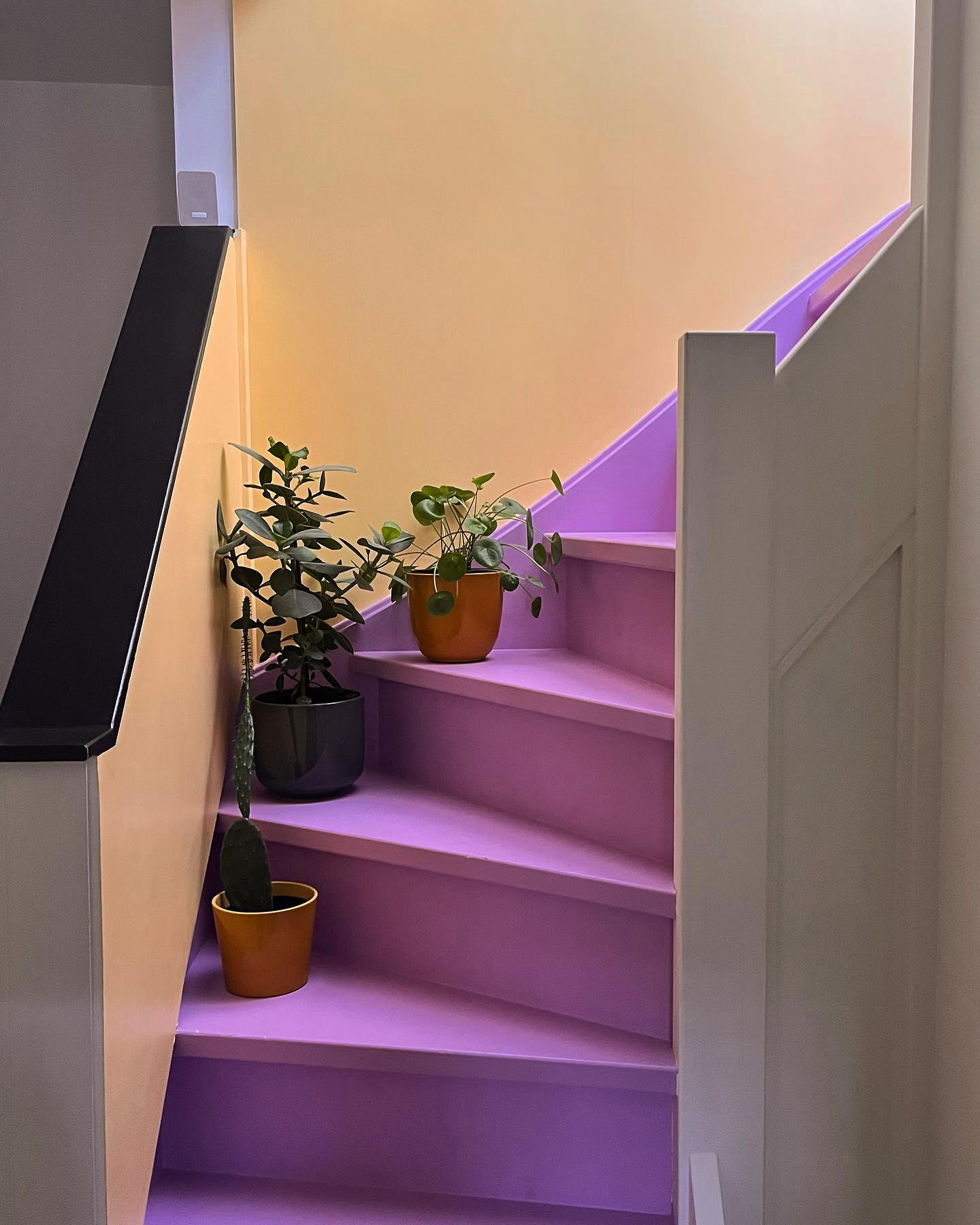 image  1 House of Majorelle - Pastel stairs