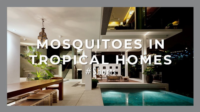 image 0 Reply To The Mosquitoes Topic For The Crazy Rich Asians Home :belanda House :tropical Living #shorts
