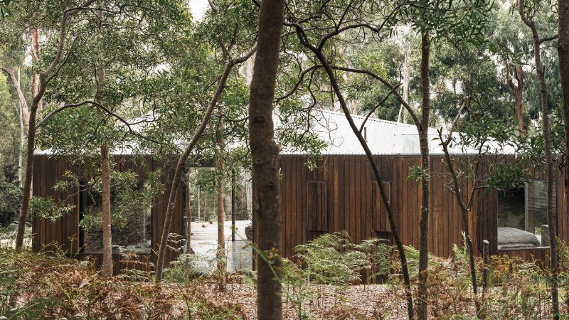The Simple Material Palette Helps To Settle This Cabin Into The Woods #shorts